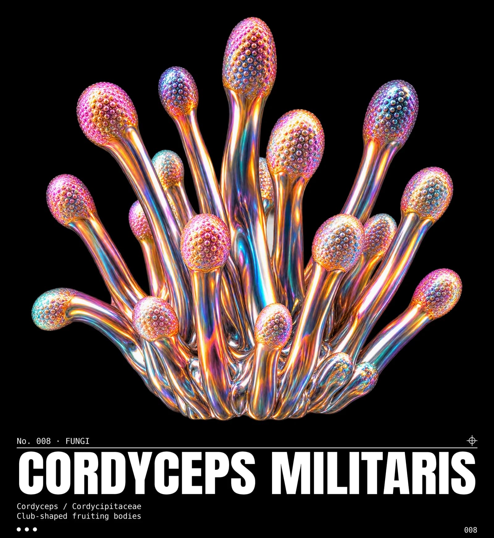 Visuel Cordyceps militaris