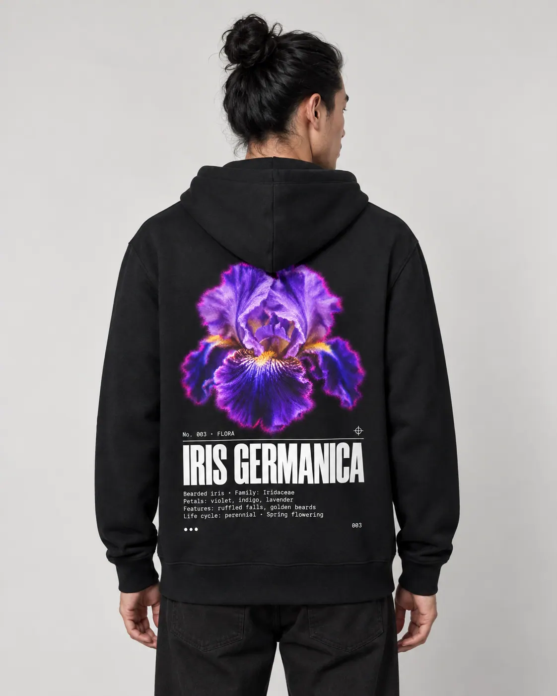 Iris germanica porte