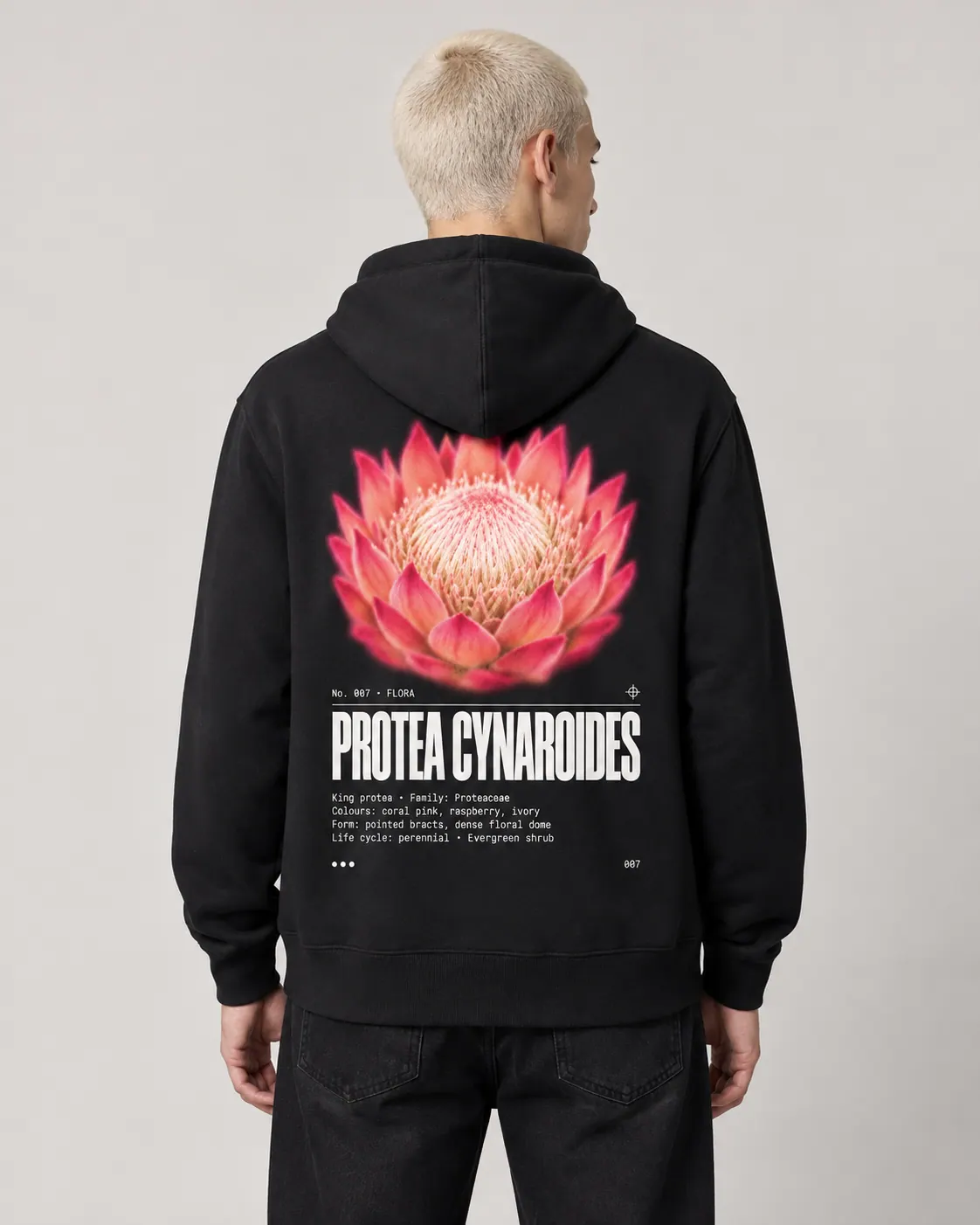 Protea cynaroides porte
