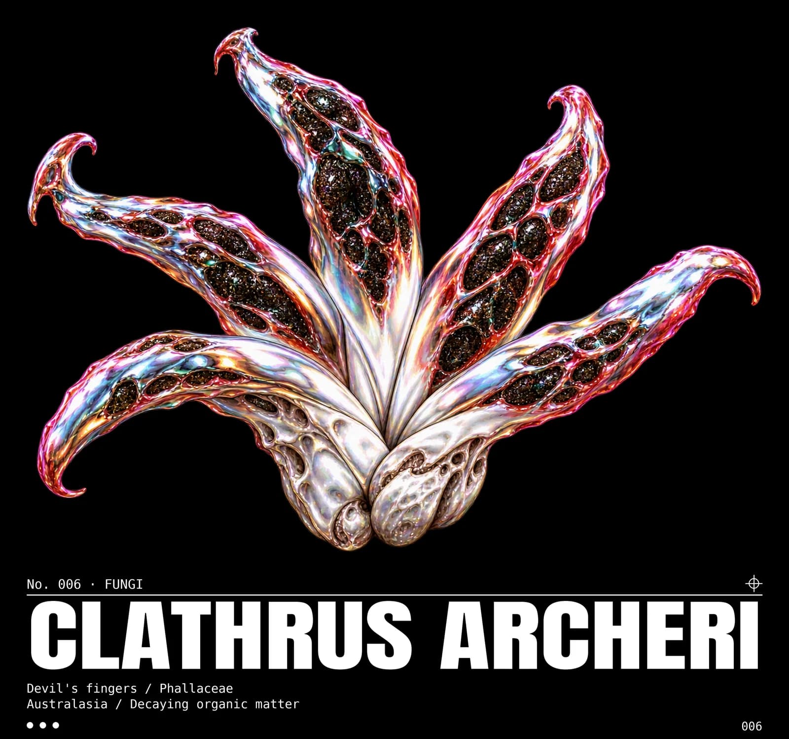 Visuel Clathrus archeri