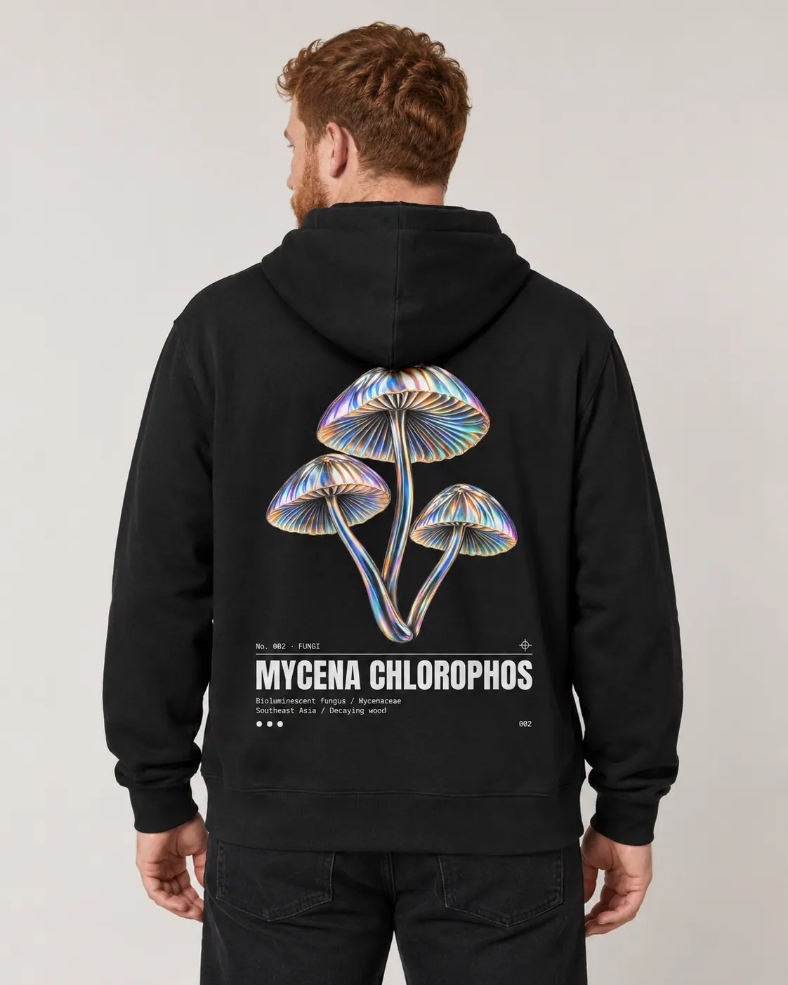 Mycena chlorophos porte
